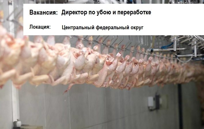 Директор по убою и переработке Директор по убою и переработке