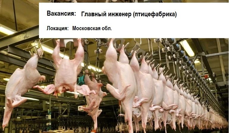 Главный инженер (пищевое производство)