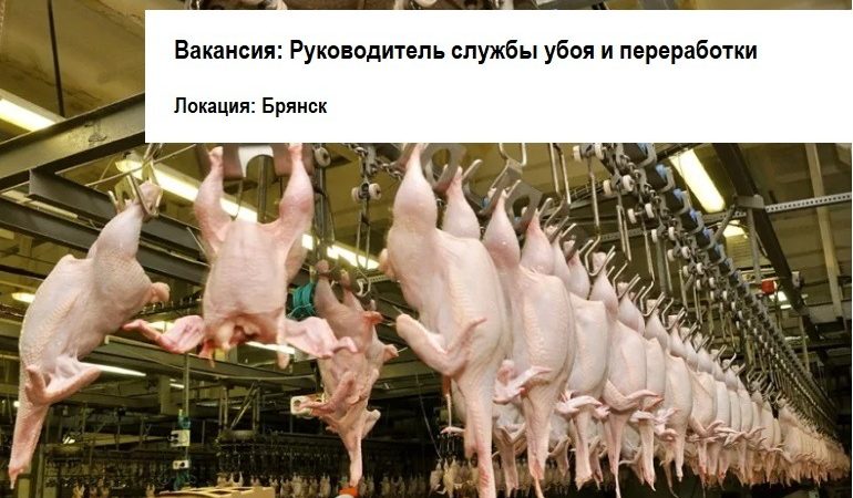 Руководитель службы убоя и переработки Руководитель службы убоя и переработки