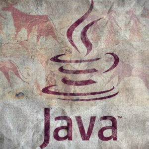 Sr. / TeamLead Java Developer Sr. / TeamLead Java Developer