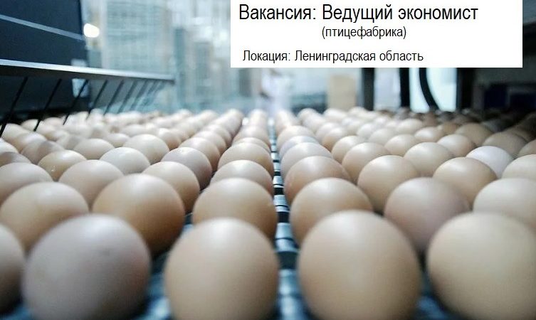 Ведущий экономист Ведущий экономист