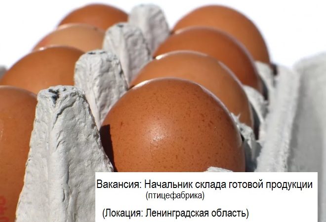 Начальник склада готовой продукции (птицефабрика) Начальник склада готовой продукции (птицефабрика)